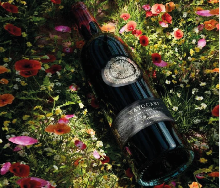 botella v