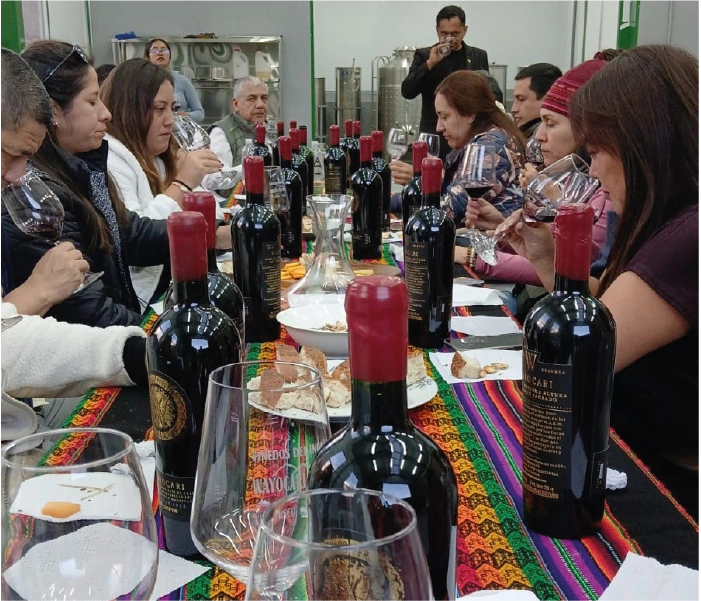 degustacion-vinedos