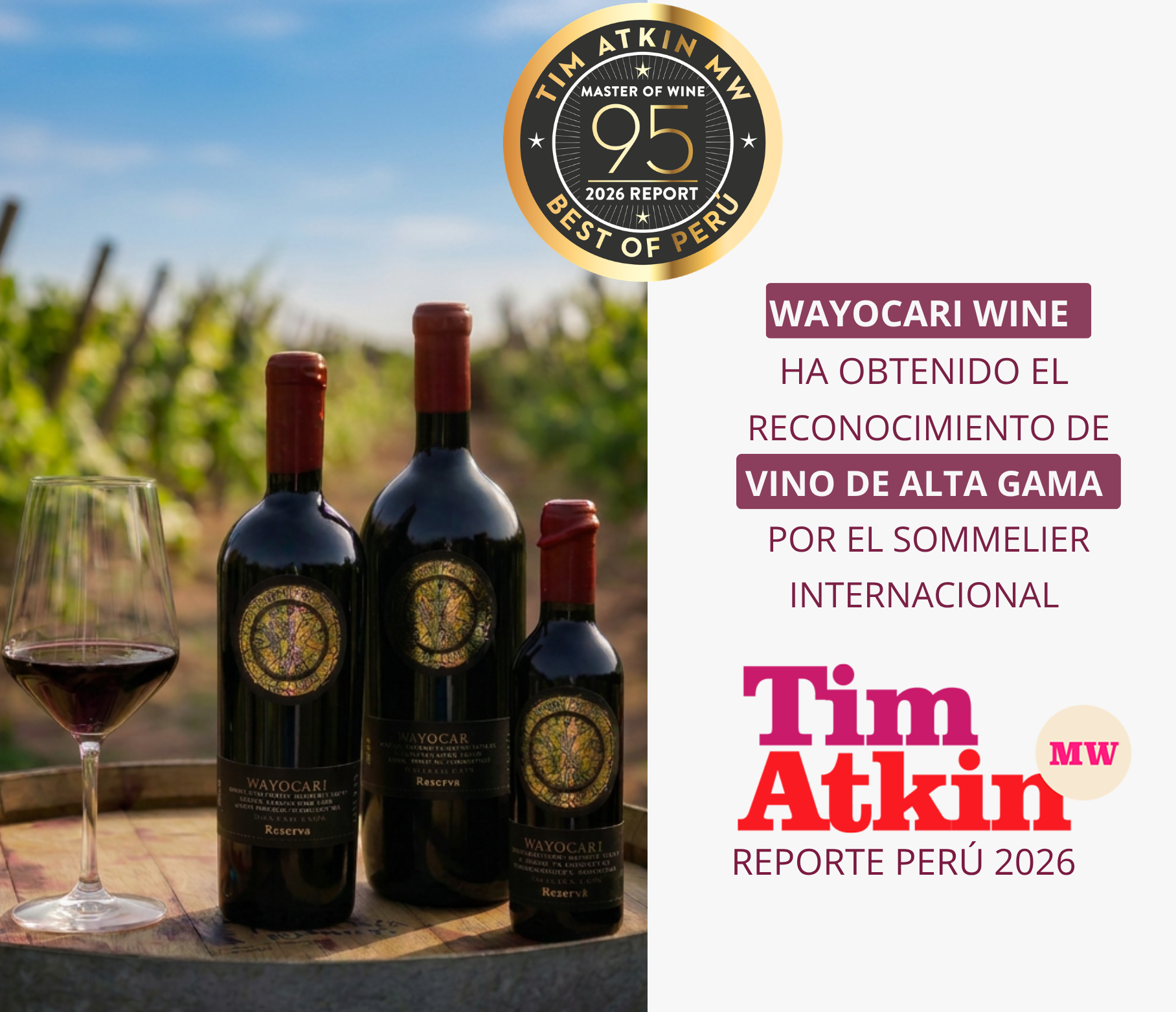 Artículo Wayocari - Tim Atkin MW